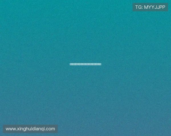 星空网官网登录入口官方渠道及安全登录方法介绍