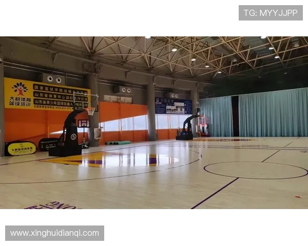 乐动ld体育官网：多元化体育游戏选择带来全新娱乐体验