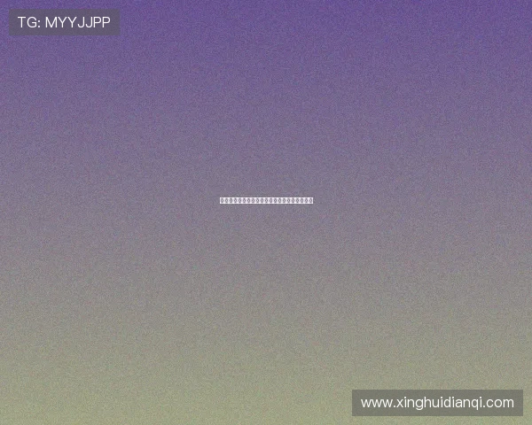 星空体育网站入口通道介绍与身份验证流程详解